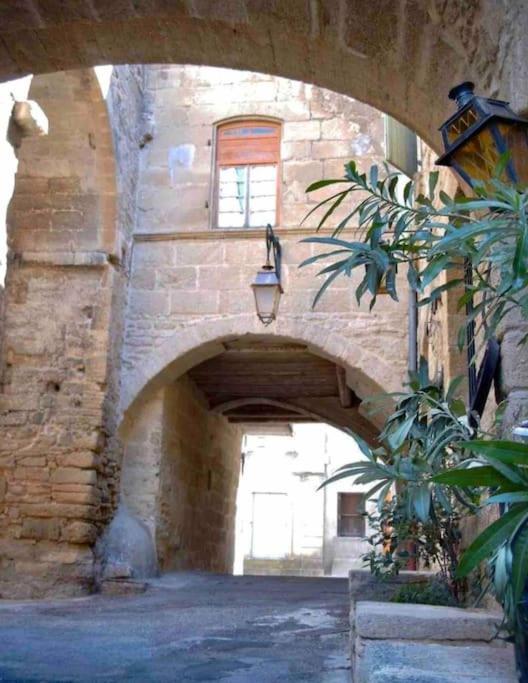 Chez Lydia - Osez La Vie De Chateau ! Pont Du Gard, Uzes 里茅林斯 外观 照片